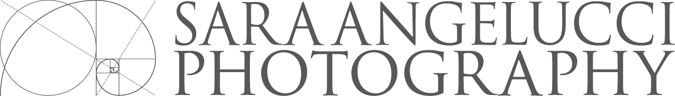 Sara Angelucci Photography